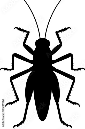 Grasshopper on Top View Silhouette Vector Illustration