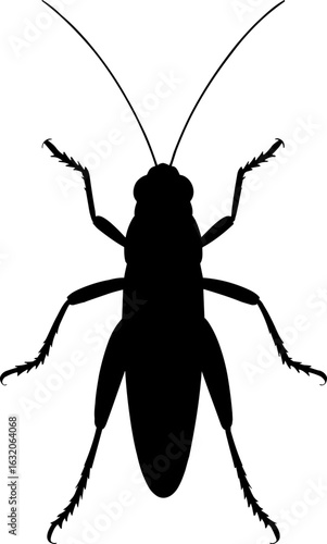 Grasshopper on Top View Silhouette Vector Illustration