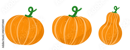 Orange pumpkin - set of vector illustration