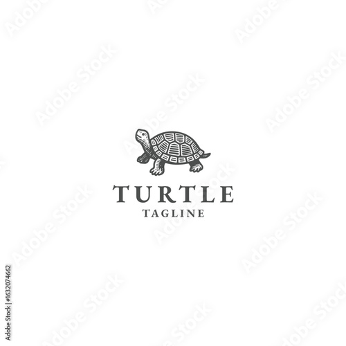 Turtle logo vintage vector design artwork illustration