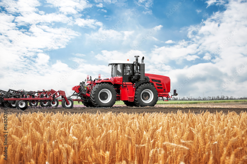 Fototapeta premium A red tractor is driving through a field of wheat