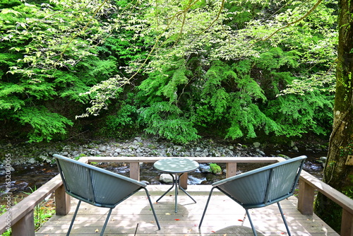 Deck with chairs, surrounded by lush green forest.