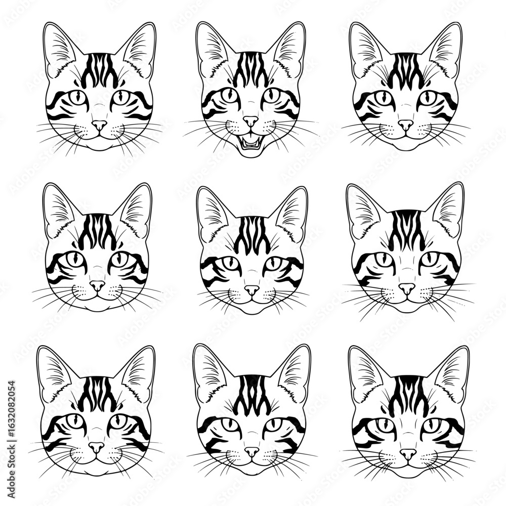 Fototapeta premium Collection of detailed black and white line art drawings of bengal cat faces showing expressive eyes and distinctive markings isolated on transparent background silhouette