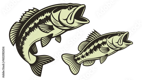 Two Stylized Largemouth Bass Fish Illustrations with Open Mouths.