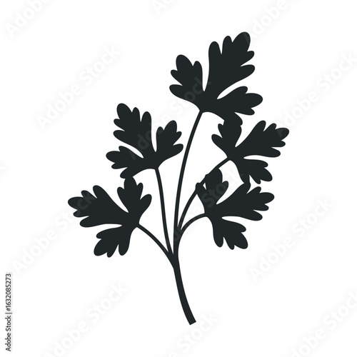 Silhouette of fresh parsley leaves on white background