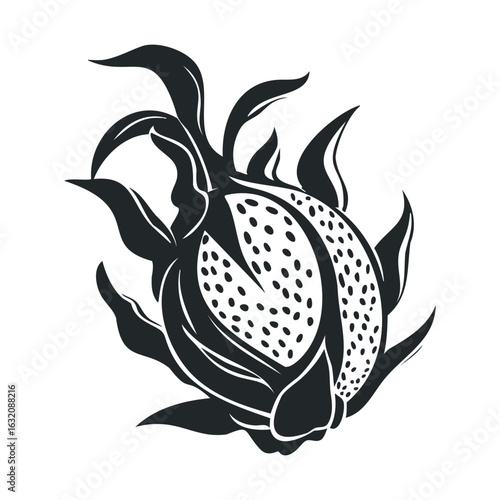 Black and white dragon fruit illustration with detailed leaves