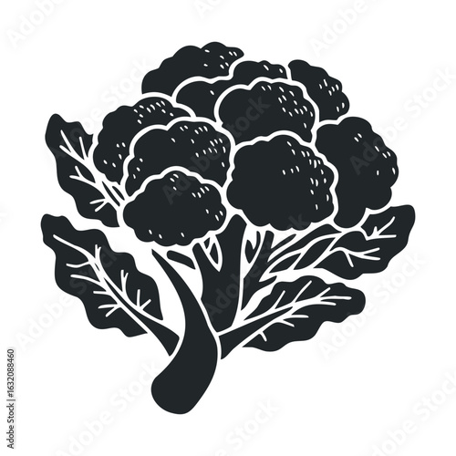 Black and white illustration of broccoli silhouette with leaves