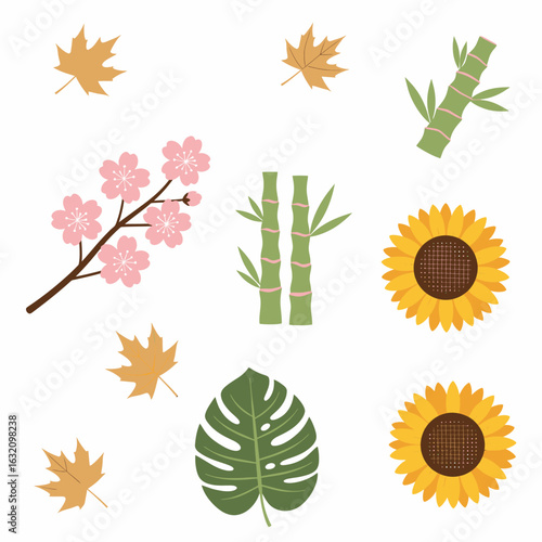 An arrangement of various botanical elements including maple leaves, cherry blossoms, bamboo stalks, sunflowers, and a monstera leaf on a white background.