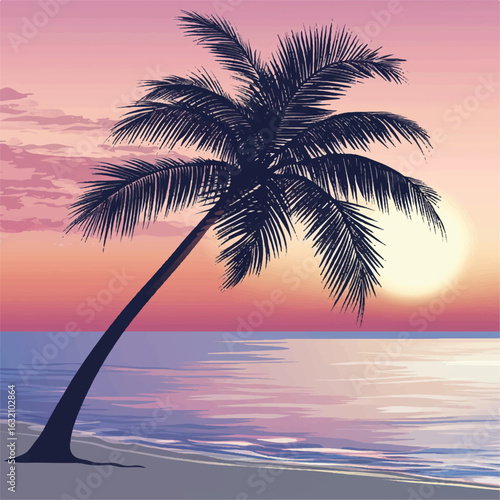 a coconut tree by the sunset