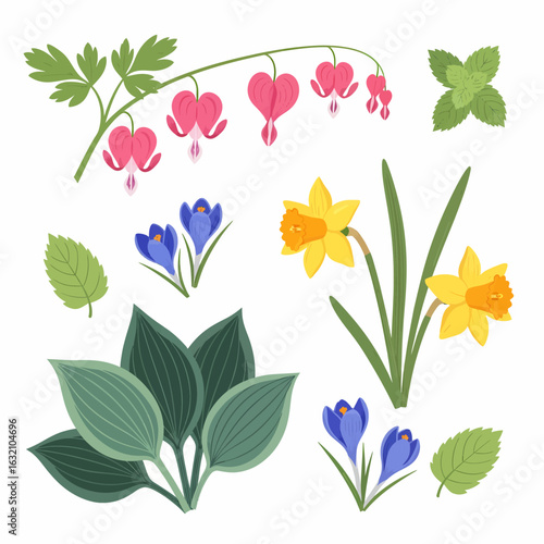 Illustration of various spring flowers including bleeding heart, daffodils, crocuses, mint leaves, and hosta leaves, arranged on a white background.