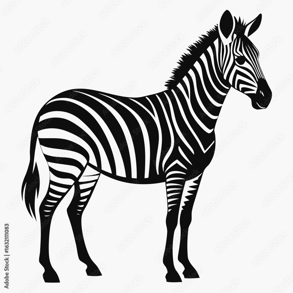 Fototapeta premium Zebra vector clean black silhouette design white background