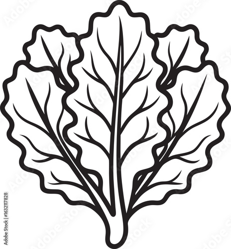 bold outline icon of kale leaf 
