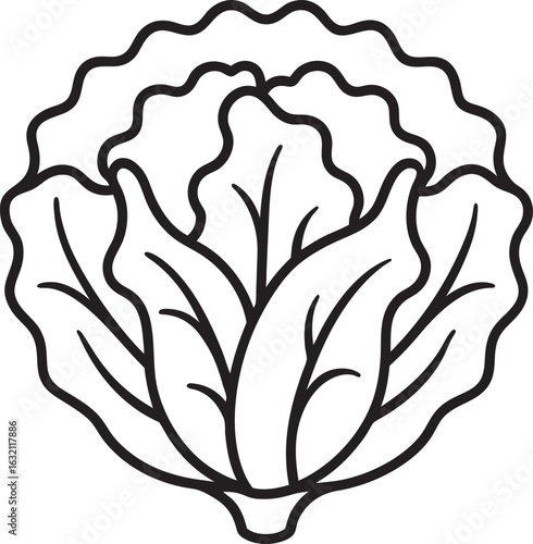 bold outline icon of lettuce head