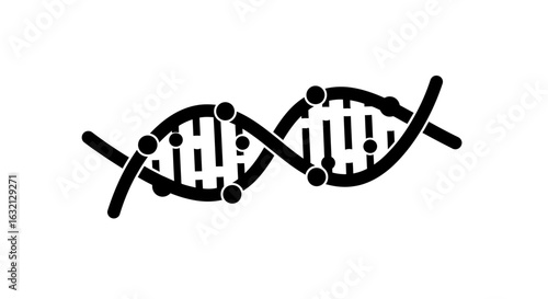 A black and white illustration of a dna double helix structure with connecting points and vertical lines