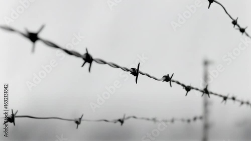 GEN 3: Ключевалка сказал:

Close-up of barbed wire fence in black and white with sharp focus on twisted metal and blurred background creating minimalist tension. 4K video
