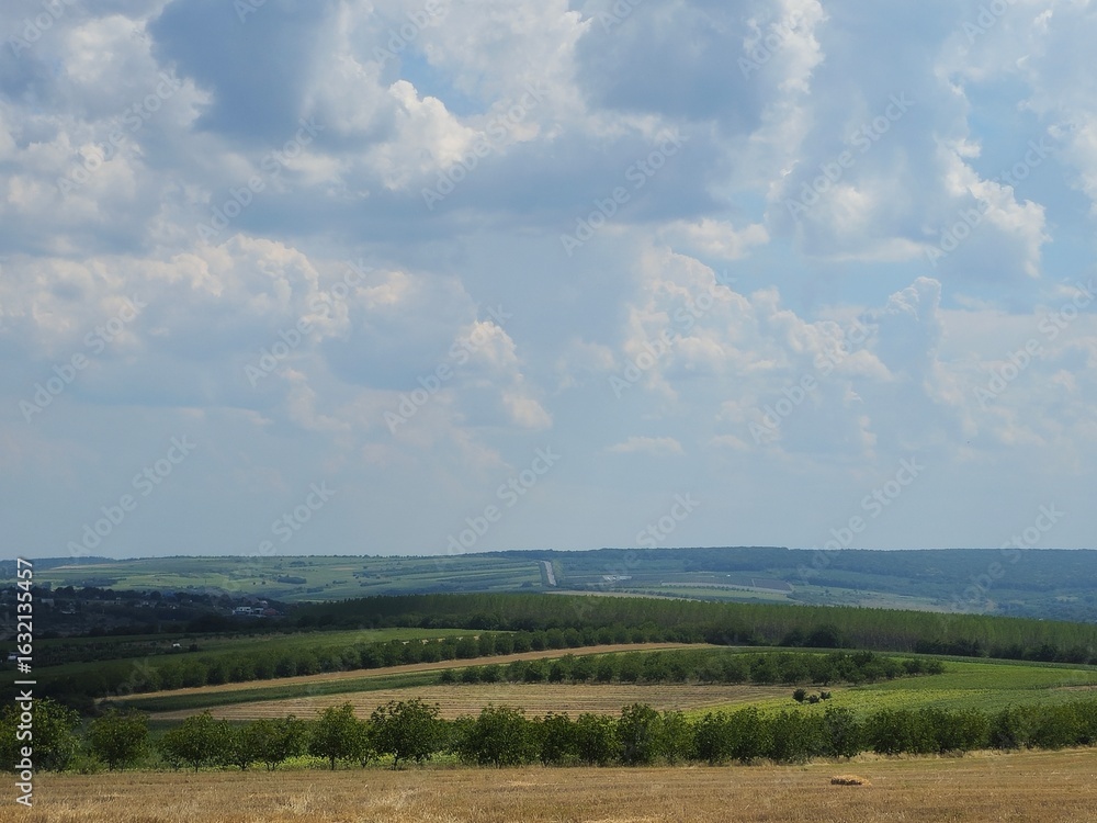 Obraz premium A landscape with trees and clouds