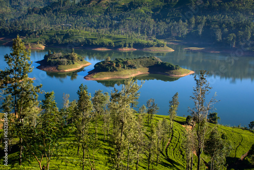 Castlereagh reservoir and surrounding tea plantations in sri lanka