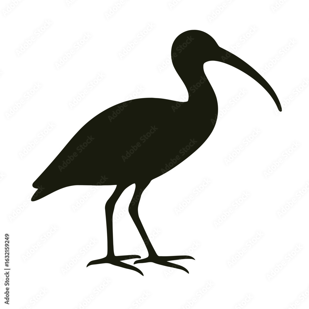 Obraz premium very simple flat and single minimalist Glossy Ibis Silhouettes in black on a white background