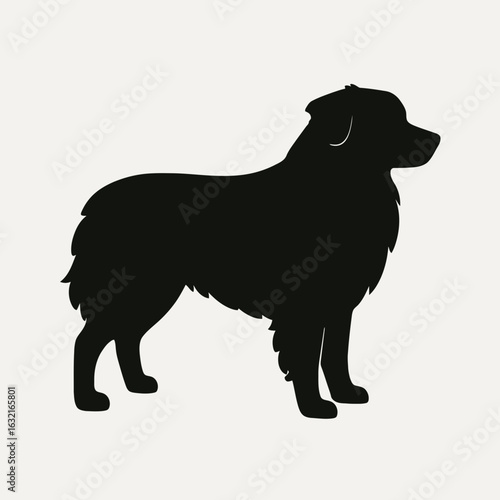 very simple flat and single minimalist Australian Shepherd Silhouettes in black on a white background