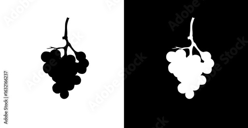 vector illustration of graphic grapes, black and white grapes icon.
