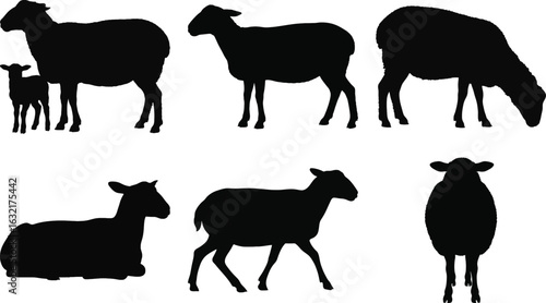 Sheep silhouette vector collection with lamb, grazing, resting, and walking poses isolated on white background