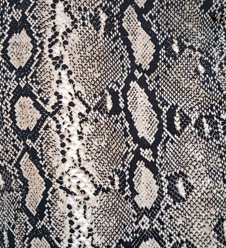 Background of  a Black and Silver Grey Snake Skin Closeup