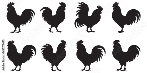 chicken, rooster, vector silhouettes
