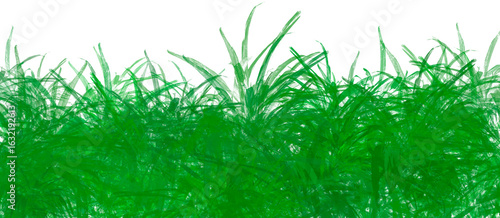 Wallpaper Mural green grass isolated on white Torontodigital.ca