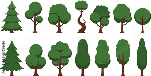 Tree shape variations, foliage types, cartoon forest illustration, educational nature elements, botanical design asset collection