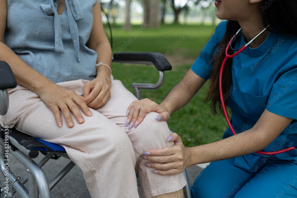 Fototapeta premium A smiling nurse assists a senior woman in a wheelchair outdoors, showing compassion, support, and togetherness in a caring healthcare environment. 