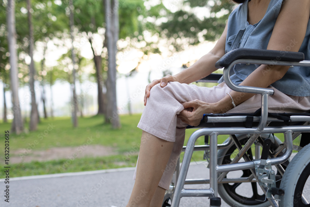 Obraz premium A smiling nurse assists a senior woman in a wheelchair outdoors, showing compassion, support, and togetherness in a caring healthcare environment. 