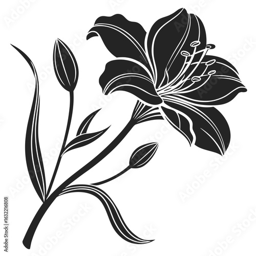 Black silhouette illustration of  Violet—Modesty flower solated on white background. 