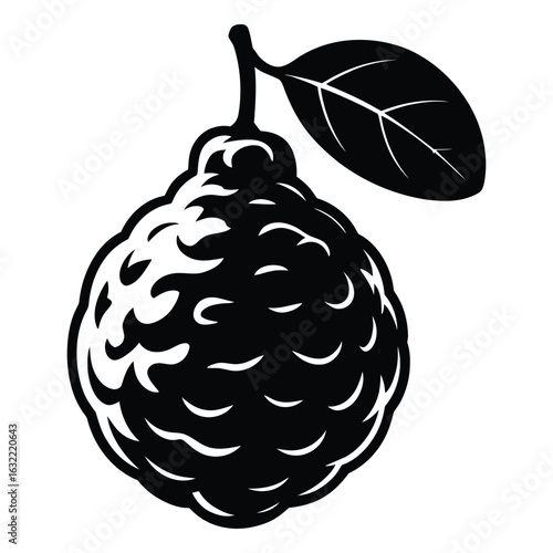 Black and white graphic illustration of a citrus fruit with a leaf vector