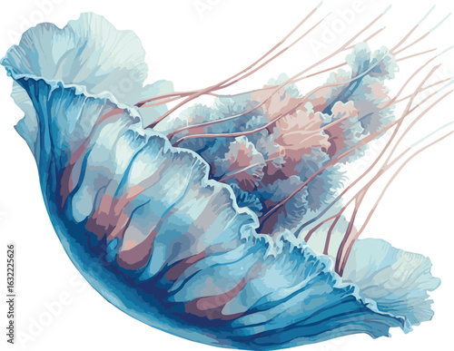 Vector watercolor realistic illustration of a jellyfish