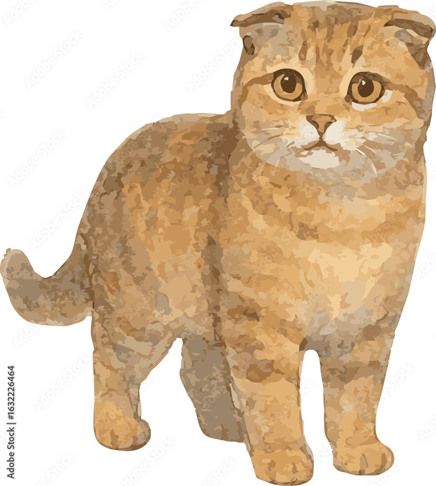 Fototapeta premium Vector watercolor adorable illustration of a scottish fold cat standing