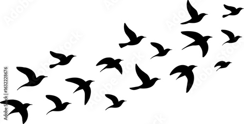 Group Flying Bird Silhouette Element Vector , Bird Vector Silhouette