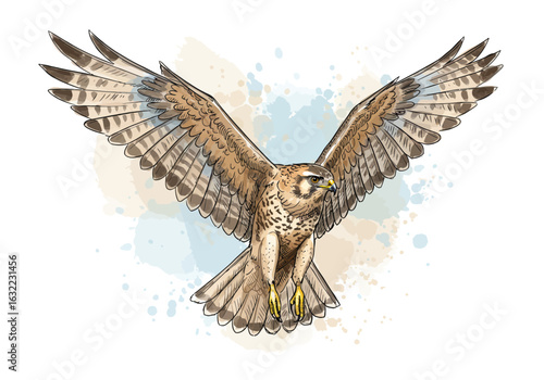 Flying Hawk Watercolor Art – Soaring Bird of Prey Illustration – Elegant Falcon Nature Painting – Wildlife Raptor Wall Decor – Hand-Drawn Flight Design

