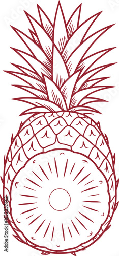 Striking Graphic Art Depiction of a Pineapple Featuring Strong Bold Burgundy Outlines and a Clear Cut Division Between Foliage and Textured Fruit Body