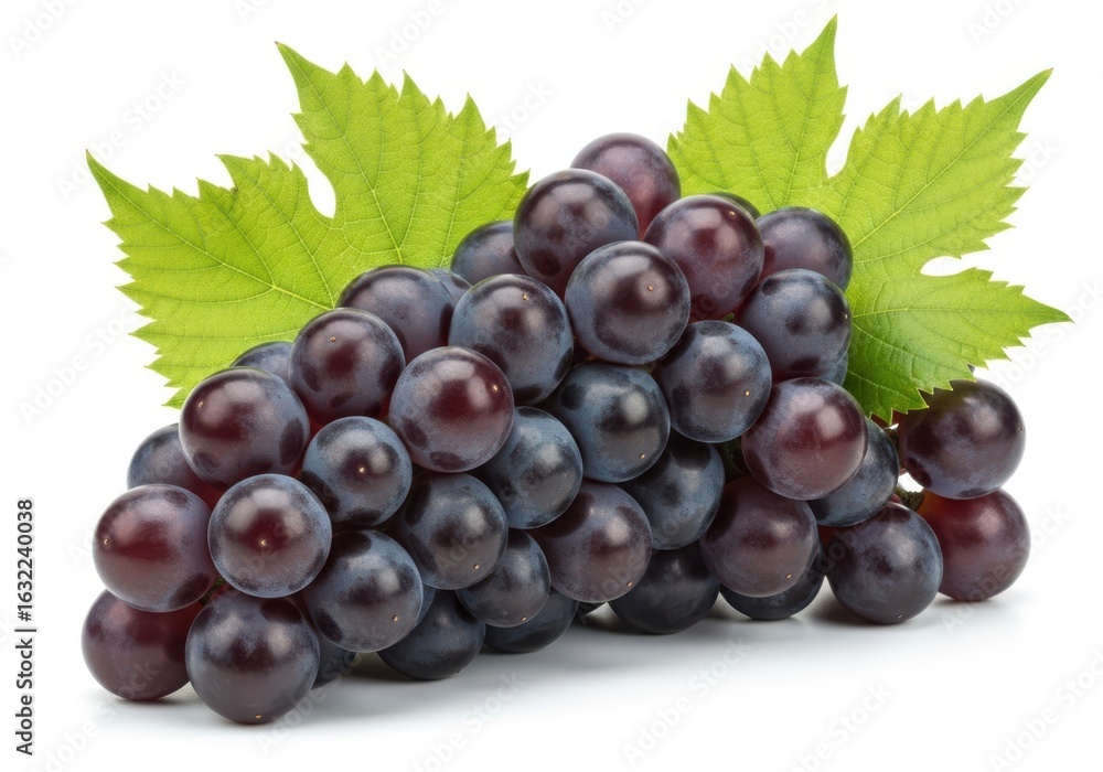 Fototapeta premium Ripe dark purple grapes with green leaves on white fruit food