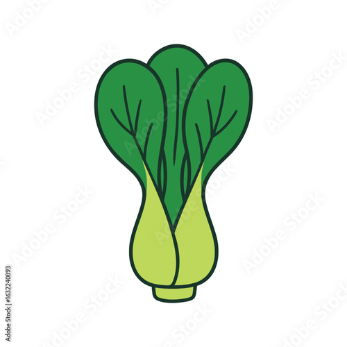 Vector graphic of a fresh bok choy vegetable.