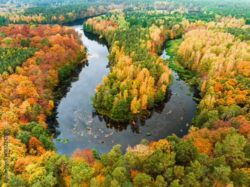 Yellow and green forest and autumn river, Poland