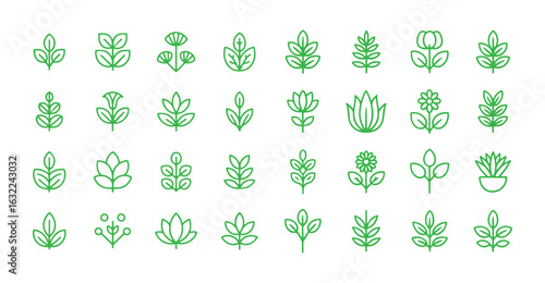 Green color outline plant icon collection. Plant leaf vector eps 10