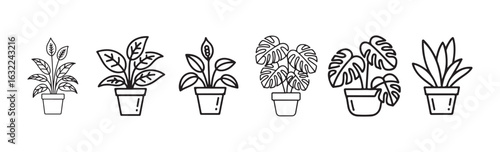 House pot plant outline collection. Plant leaf vector eps 10