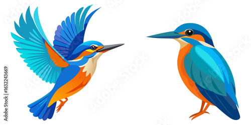 A kingfisher hovers, its vibrant blue and orange feathers brilliant.