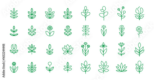 Green leaves, environment, and nature eco sign. Tree plant outline icon. Vector eps 10