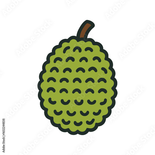 Vector image of a ripe durian fruit.