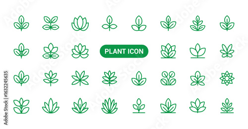 Green plant outline icons. Plant icon. Leaf symbol. Vector illustration eps 10