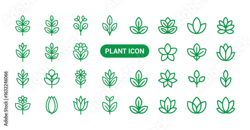 Green plant outline icons. Plant icon. Leaf symbol. Vector illustration eps 10