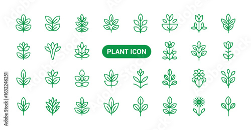 Green plant outline icons. Plant icon. Leaf symbol. Vector illustration eps 10