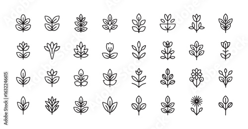 Set of plant outline icons. Plant icon. Leaf symbol. Vector illustration eps 10
